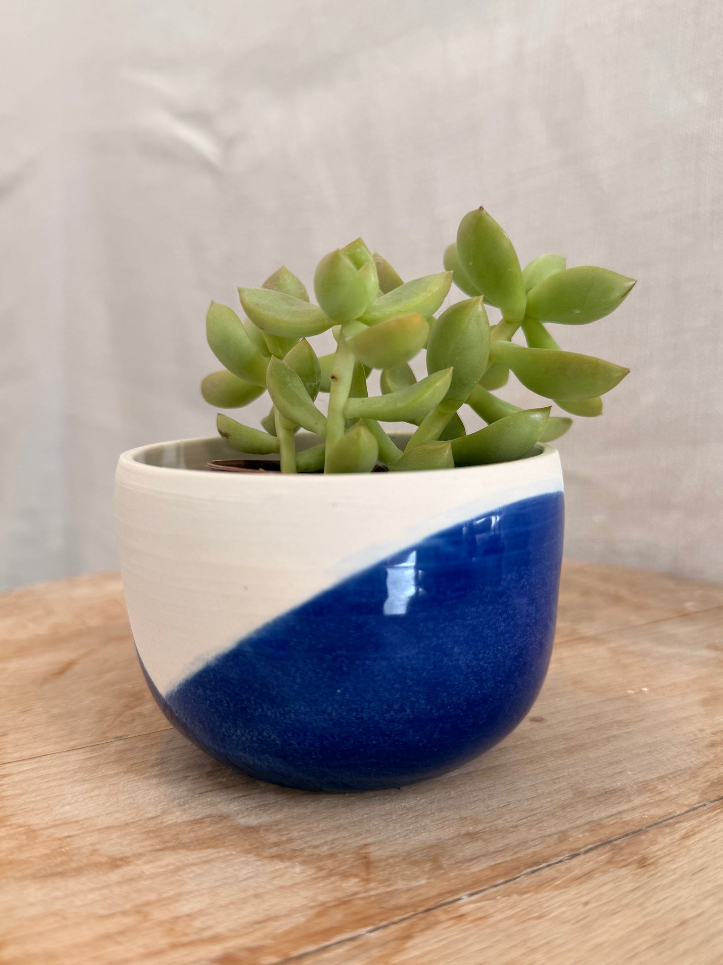 Petit bol bleu