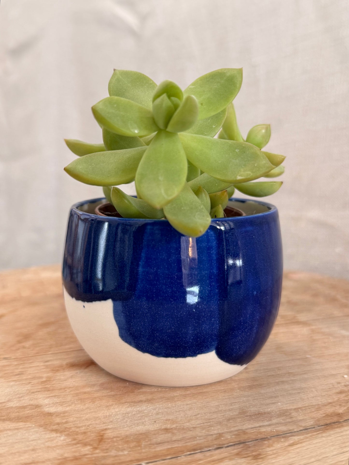 Petit bol bleu